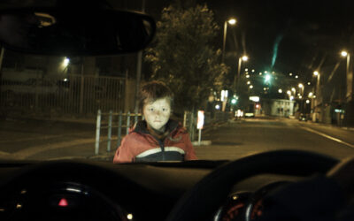 Stam – Hiérdie boom se wortels skiet diep